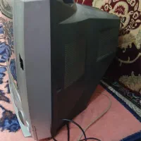 تلوزیون