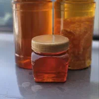 عسل کوهی با ساکاراز زیر( 3درصد)|خوردنی و آشامیدنی|رشت, شهرک صنعتی|دیوار