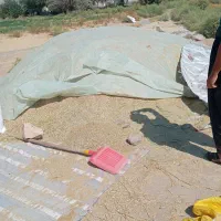 کاه یونجه تخمنیخ|حیوانات مزرعه|عجب شیر, |دیوار