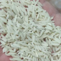 برنج هاشمی سورتینگ شده الک یک