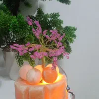 تزیینی|صنایع دستی و سایر لوازم تزئینی|نجف‌آباد, یزدانشهر|دیوار