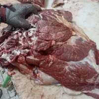 گوشت گوساله بار گرم تهران وحومه
