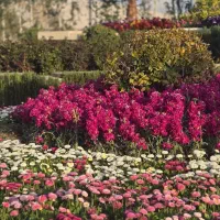 تشک نو دو نفره