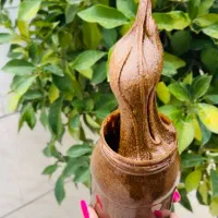 معجون  تایم بالای 25 دقیقه|خوردنی و آشامیدنی|تهران, دریا|دیوار