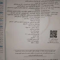 زیست شناسی دوازدهم خیلی سبز|کتاب و مجله آموزشی|مشهد, احمدآباد|دیوار