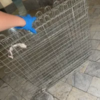 پارک سگ خانگی