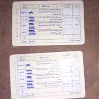 پیدا شده