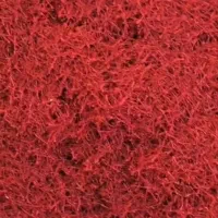 زعفران فله محصول اصفهان با کیفیت بهتر از خراسان