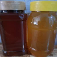 عسل کنار وچهل گیاه