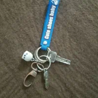 کلید پیدا شده