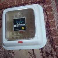 فروش دستگاه جوجه کشی|لوازم جانبی حیوانات|بندر ماهشهر, |دیوار