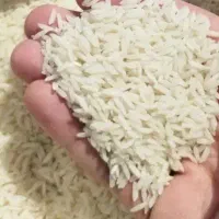 برنج دم سیاه درجه یک