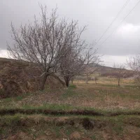 دوتاشلوارلی پسرانه