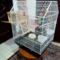 قفس استاندارد طوطی سانان تکمیل