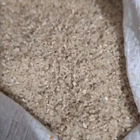 نیم دانه فجر امساله درجه یک