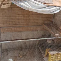 فروش قفس بزرگ