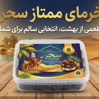 خرمای رژیمی سحر ، طبیعی ، کم‌قند ، بسته‌بندی لوکس