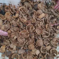 پوست گردو|عمده‌فروشی|مشهد, موسوی قوچانی|دیوار