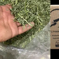 یونجه پوشال تشویقی خرگوش همستر