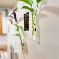 گلجای قشنگ مگنتی