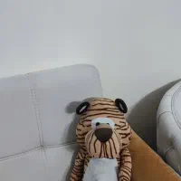 عروسکهای پولیشی سالم در حد نو