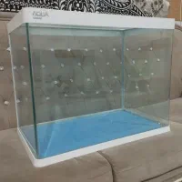 اکواریوم شرکتی شیشه خم