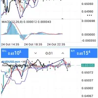 سرمایه گذاری ازشما کسب سود دلاری با ما