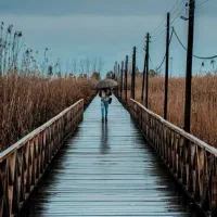 یادگیری زبان انگلیسی در منزل