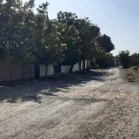 فروش فوری ۳ قطعه زمین نزدیک تهران و فرودگاه امام|فروش زمین و ملک کلنگی|رباط‌کریم, منجیل آباد|دیوار