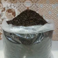 چای شکسته ممتاز، پررنگ و دارای عطر خوب چای|خوردنی و آشامیدنی|قم, انسجام|دیوار