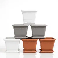 پخش انواع گلدان پلاستیکی کشاورزی و زینتی|گل و گیاه طبیعی|رشت, پل تالشان|دیوار