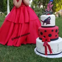 کرایه  و سفارش لباس تولدی کودک در انواع سایز و رنگ