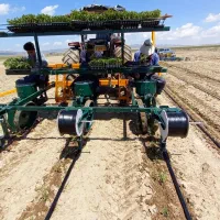 فروش دستگاه نشاکار گوجه فرنگی سقوطی و پانچ مالچ