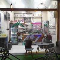 همکار باریستا شیفت صبح