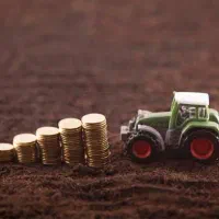 حسابدار باغ کازرون