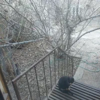 دراختیارقراردادن-خانه