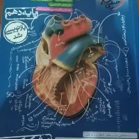 کتاب تست زیست دهم خیلی سبز