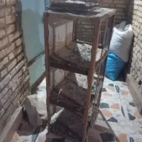 فروش قفس فقط درب میخات