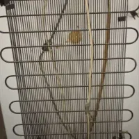 یک عدد یخچال ساده|یخچال و فریزر|دشتابی, |دیوار