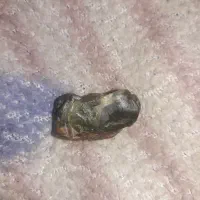 فروش انواع سنگ اسیاب عقیق جاسبر وزینتی|زیورآلات و اکسسوری|نجفآباد, باهنر|دیوار