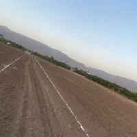 زمین باغ شهری|فروش زمین و ملک کلنگی|مرودشت, بیست متری بیمارستان|دیوار