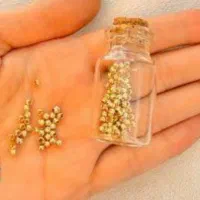 قرعه کشی طلا