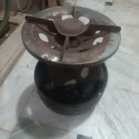 یک پیکنیک درحدنو و همه چیزش سالم است