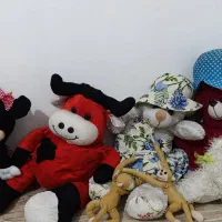 عروسک|اسباب‌بازی بچه|شهریار, شهریار|دیوار