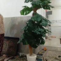 درخت تزیینی|گل مصنوعی|نهاوند, |دیوار