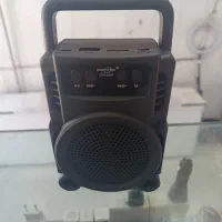 حراج اسپیکر همراه با میکروفن بی سیم و تغییر صدا|سیستم صوتی خانگی|شیراز, شهرک مهدی‌آباد|دیوار