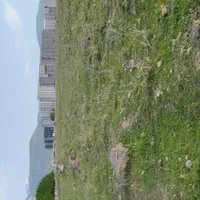 فروش زمین جای سرمایه گذاری پشت آرد سازی نزدیک جاد|فروش زمین و ملک کلنگی|مشگین شهر, |دیوار