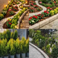 خدمات باغبانی و گلکاری وکاشت گل باغچه و گلدان|خدمات باغبانی و درختکاری|تهران, تهرانپارس شرقی|دیوار