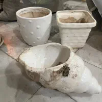 چند مدل گلدان|گل و گیاه طبیعی|قم, دروازه چوبی|دیوار