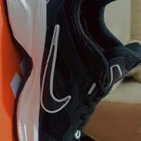 یک جفت کتونی سایز ۴۰ ک ب ۴۱ هم میخوره